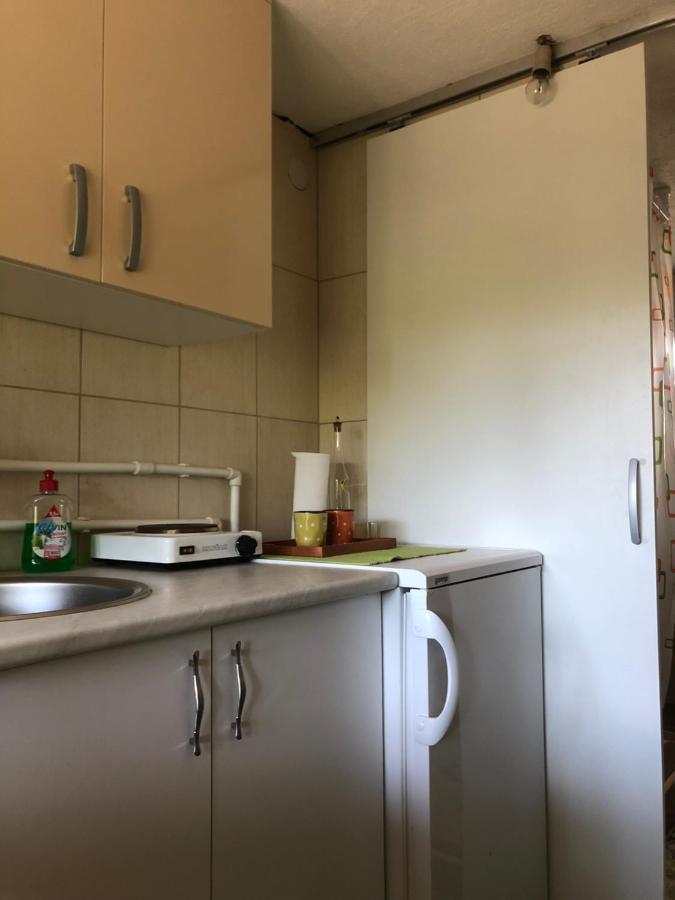 Apartamento Kuca Za Odmor Davidovic Despotovac Exterior foto